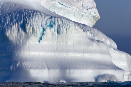 High Arctic Closeup