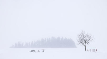 Elk Island National Park

