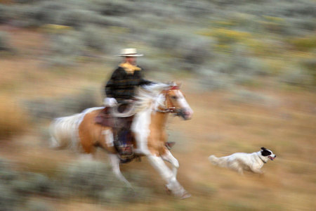 Cowboy With Dog